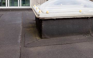 disadvantages of Woodacott flat roofs