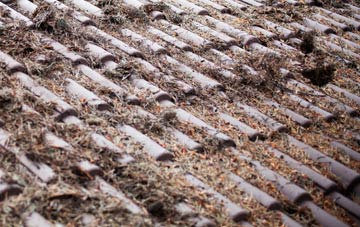 Woodacott roof cleaning companies