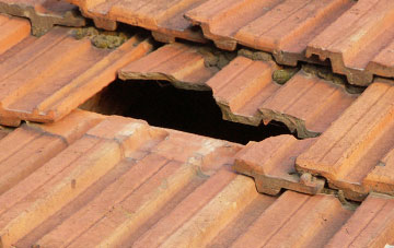roof repair Woodacott, Devon